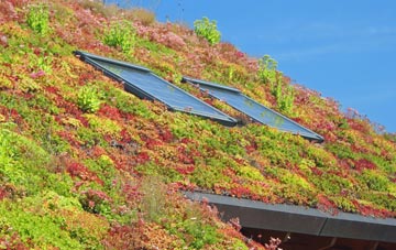 Majors Green living roof systems