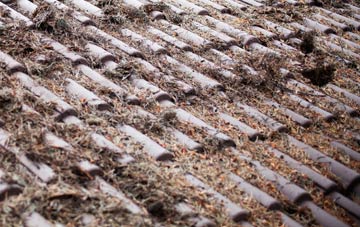 Majors Green roof cleaning companies